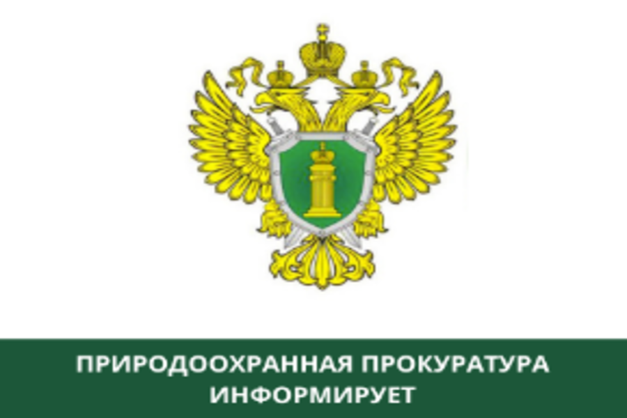 Как предотвратить лесной пожар и что делать в случае его обнаружения.
